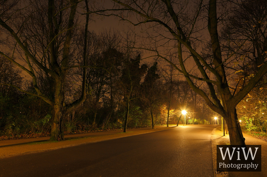 Vondelpark Amsterdam Nacht Amsterdambynight
